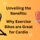 are exercise bikes good for cardio