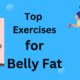 what exercise burns most belly fat