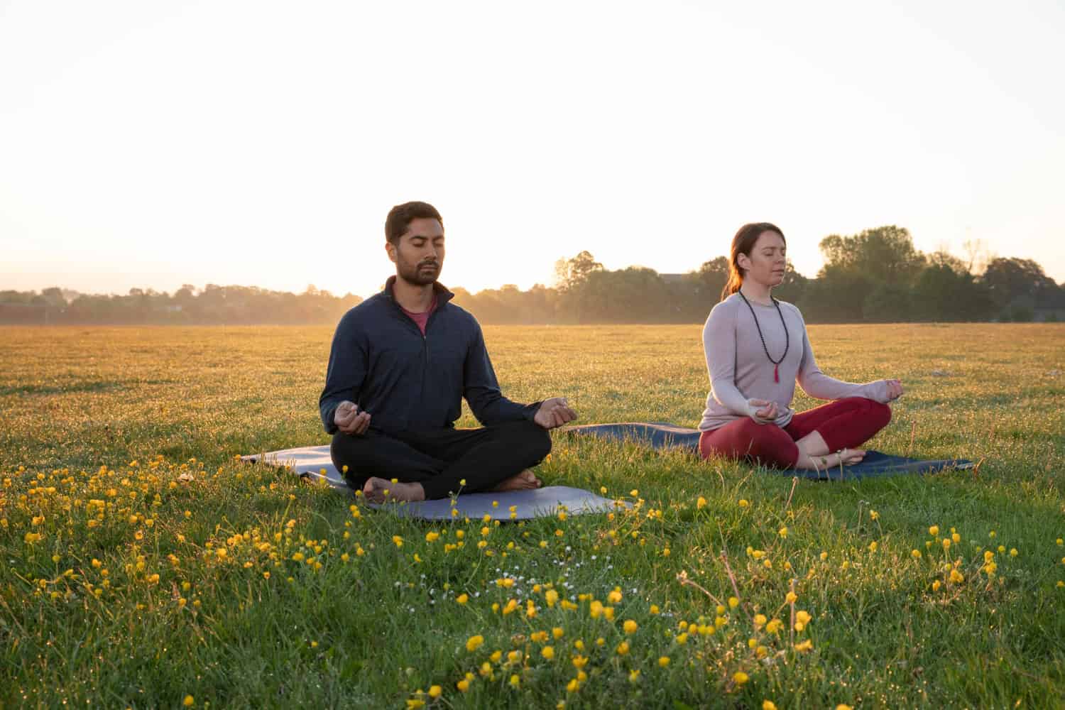 Holistic Health